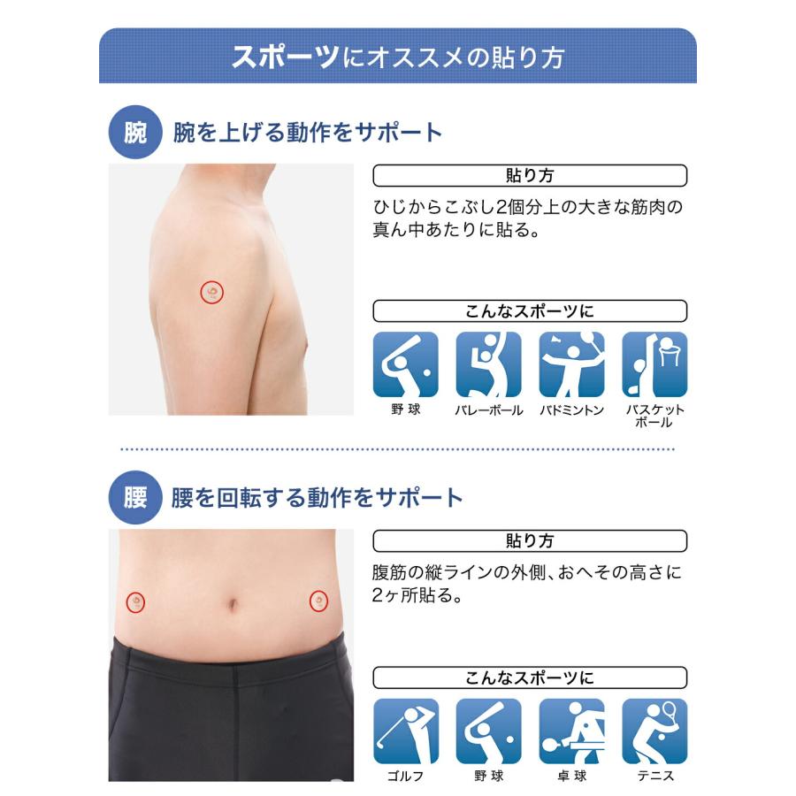Phiten（ファイテン） パワーテープ メタックス 楕円タイプ 300枚入