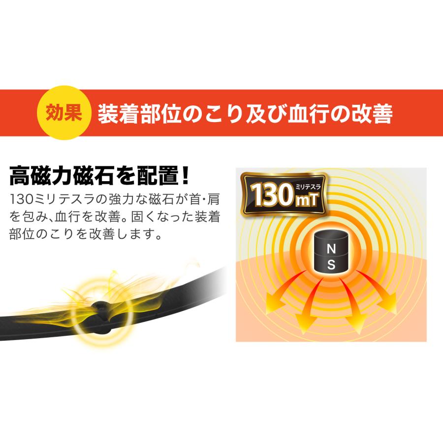 RAKUWA ファイテン RAKUWA磁気チタンネックレスS-||(管理医療機器