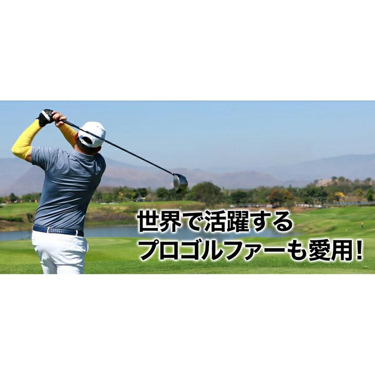 Phiten（ファイテン） RAKUWA磁気チタンネックレス BULLET(管理医療