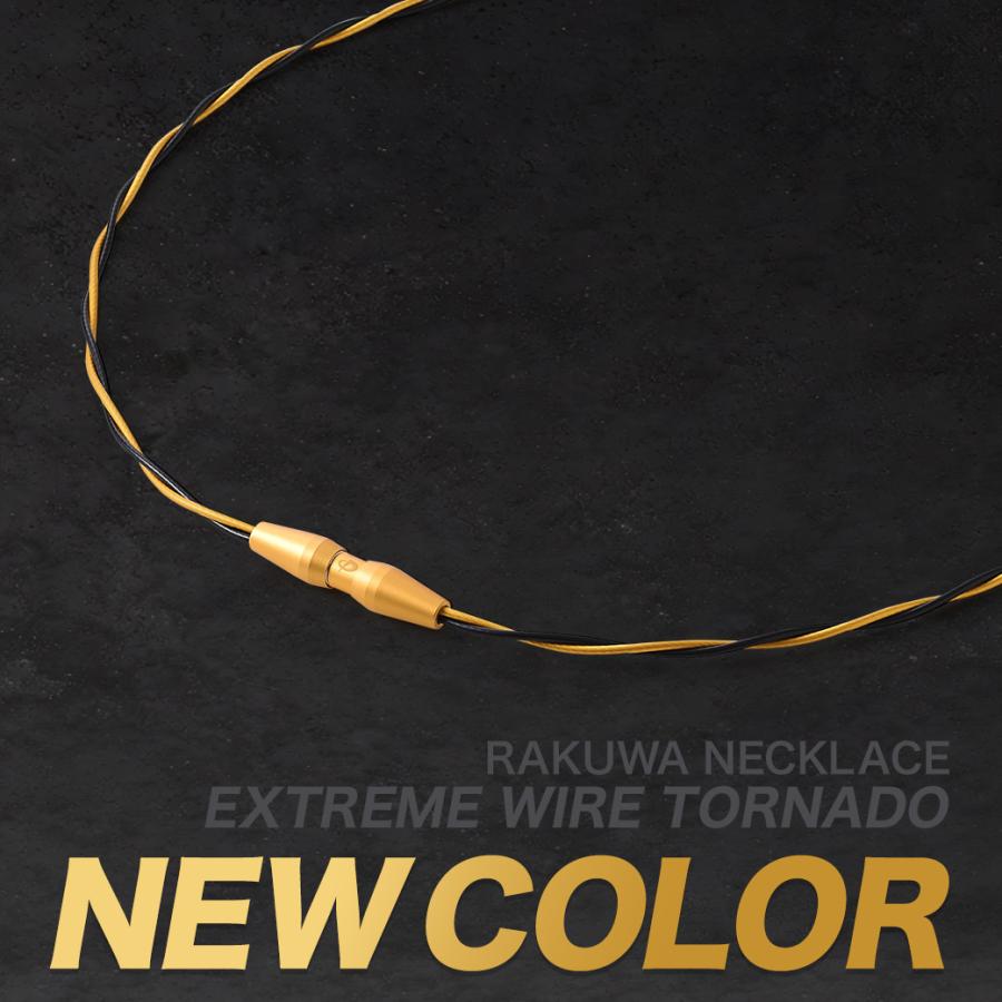 Phiten（ファイテン） RAKUWAネックレス EXTREME ワイヤートルネード