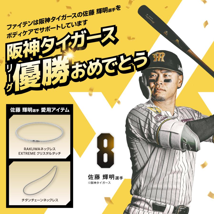Phiten（ファイテン） RAKUWAネックレス EXTREME クリスタルタッチ