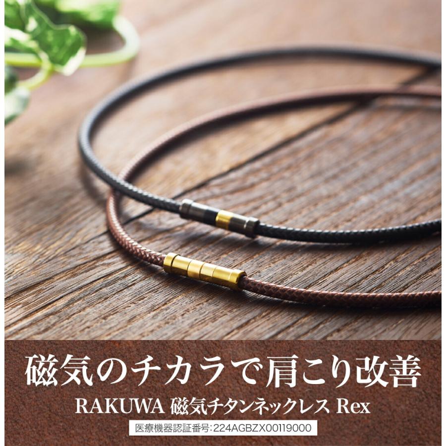 RAKUWA 【50％OFF】ファイテン RAKUWA磁気チタンネックレス Rex(管理