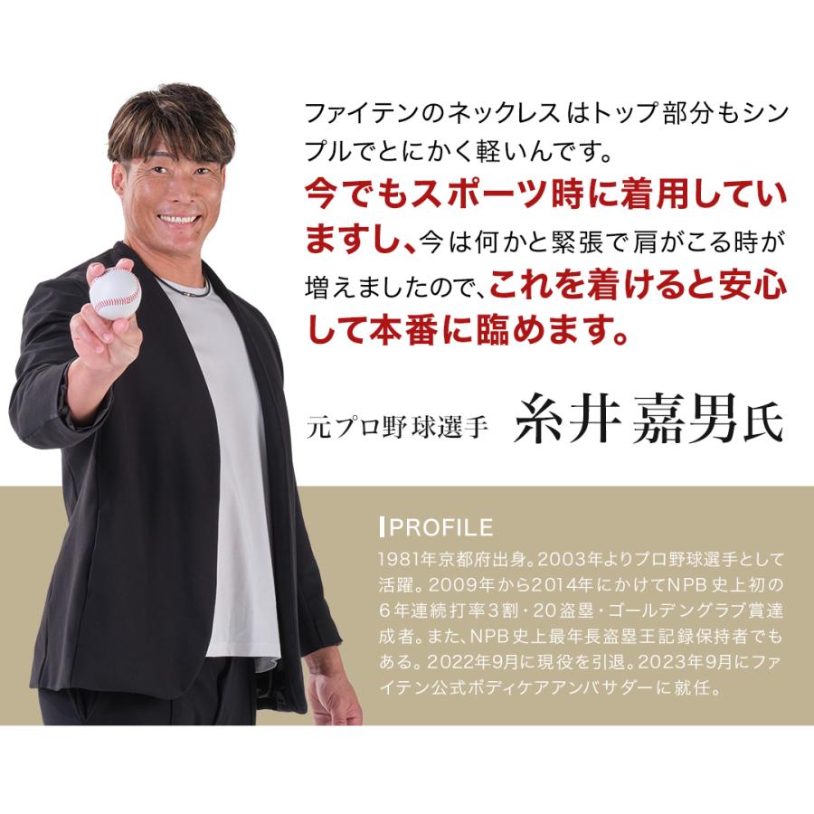 RAKUWA ファイテン RAKUWA磁気チタンネックレス Rex(管理医療機器 