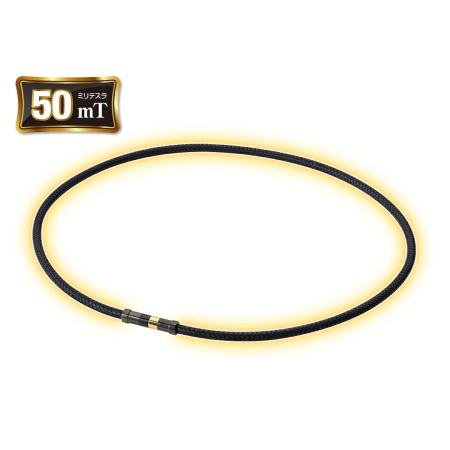 RAKUWA ファイテン RAKUWA磁気チタンネックレス Rex(管理医療機器