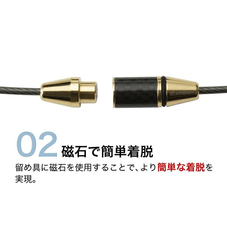 Phiten（ファイテン） RAKUWAネックレス EXTREME カーボン