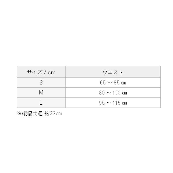 ファイテンサポーター メタックス 腰用ミドルタイプ 腰サポーター ウエストサポーター 腰用 男性 女性｜phiten｜07