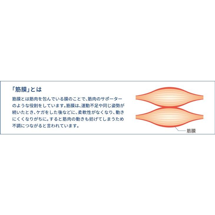Phiten ファイテン 筋膜スクレイパー phiten 筋膜 スクレイパー Phiten ファイテン 筋膜スクレイパー phiten 筋膜 スクレイパー