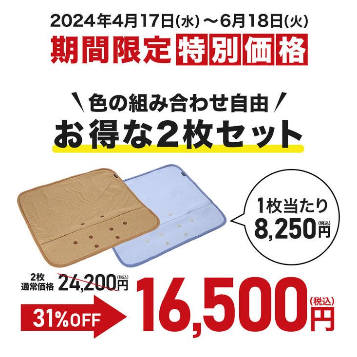 【31％OFF】ファイテン 磁気枕カバー(2枚セット)(管理医療機器)｜phiten｜02