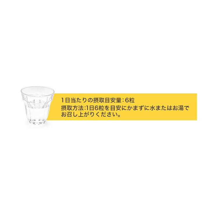 Phiten（ファイテン） シボヘリーナα(機能性表示食品) エラグ酸 サプリ
