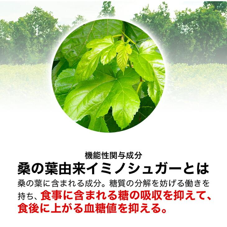 今年までの特別価格　ファイテン　桑葉青汁飲みくらべ3袋セット ファイテン桑葉青汁 血糖セーブ ヨーグルト風味(機能性表示食品