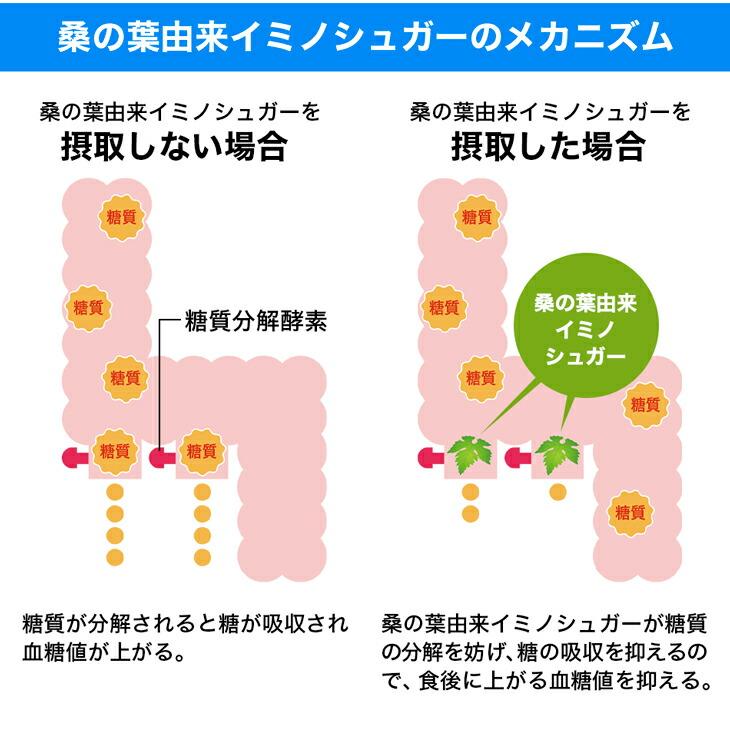 年内までのと特別価格　ファイテン　桑葉青汁飲みくらべ3袋セット 年内までのと特別価格 ファイテン 桑葉青汁飲みくらべ3袋セット
