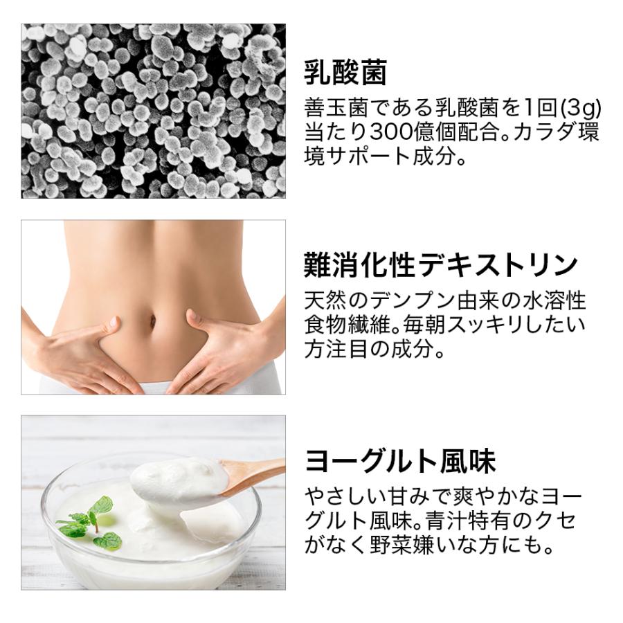 Phiten ファイテン 桑葉青汁 血糖セーブ ヨーグルト風味(機能性