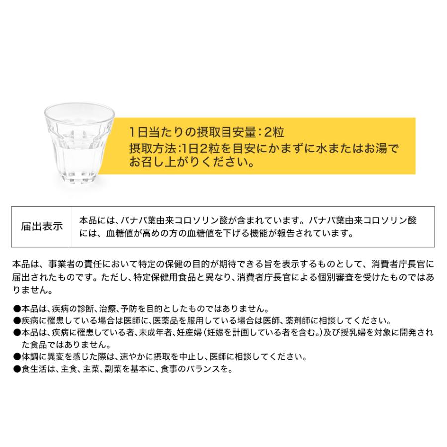 【30％OFF】ファイテン ケットストーン(機能性表示食品)｜phiten｜06