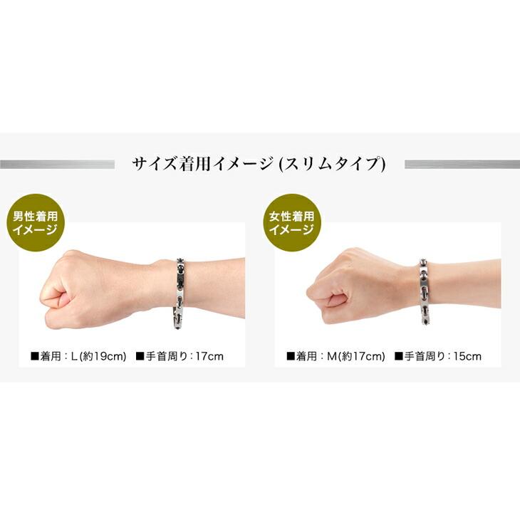 Phiten（ファイテン） ハードコートチタンブレス メタックス スリム