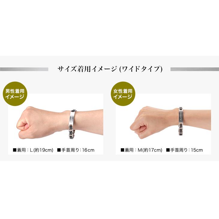 Phiten ファイテン ハードコートチタンブレス メタックス ワイド Phiten ファイテン ハードコートチタンブレス メタックス ワイド