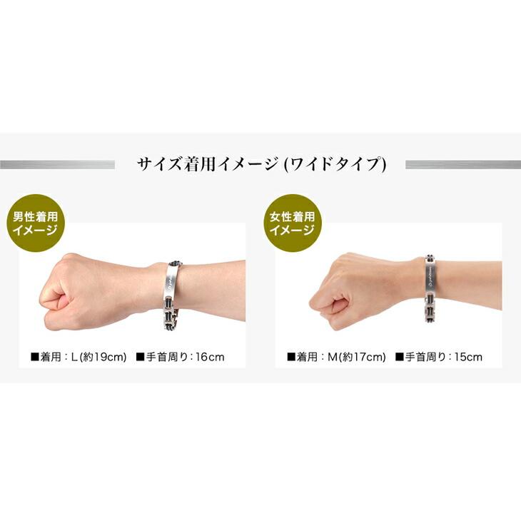 Phiten（ファイテン） ハードコートチタンブレス メタックス ワイド