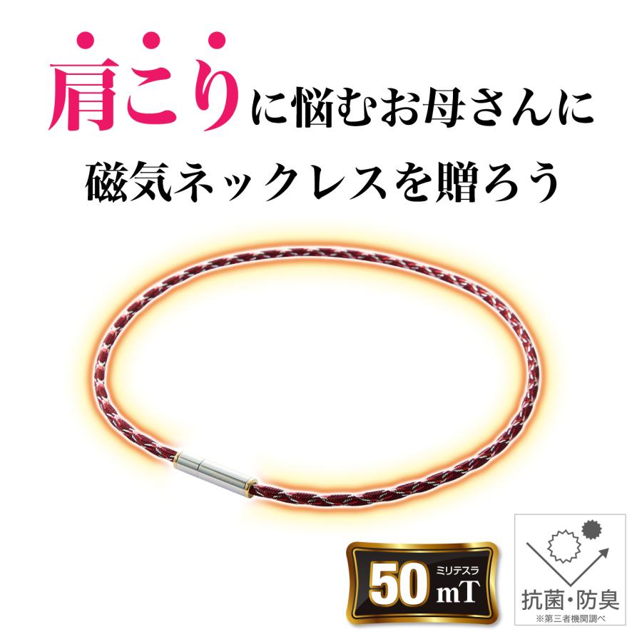 Phiten（ファイテン） 母の日ギフト(RAKUWA磁気ネックレス メタックス