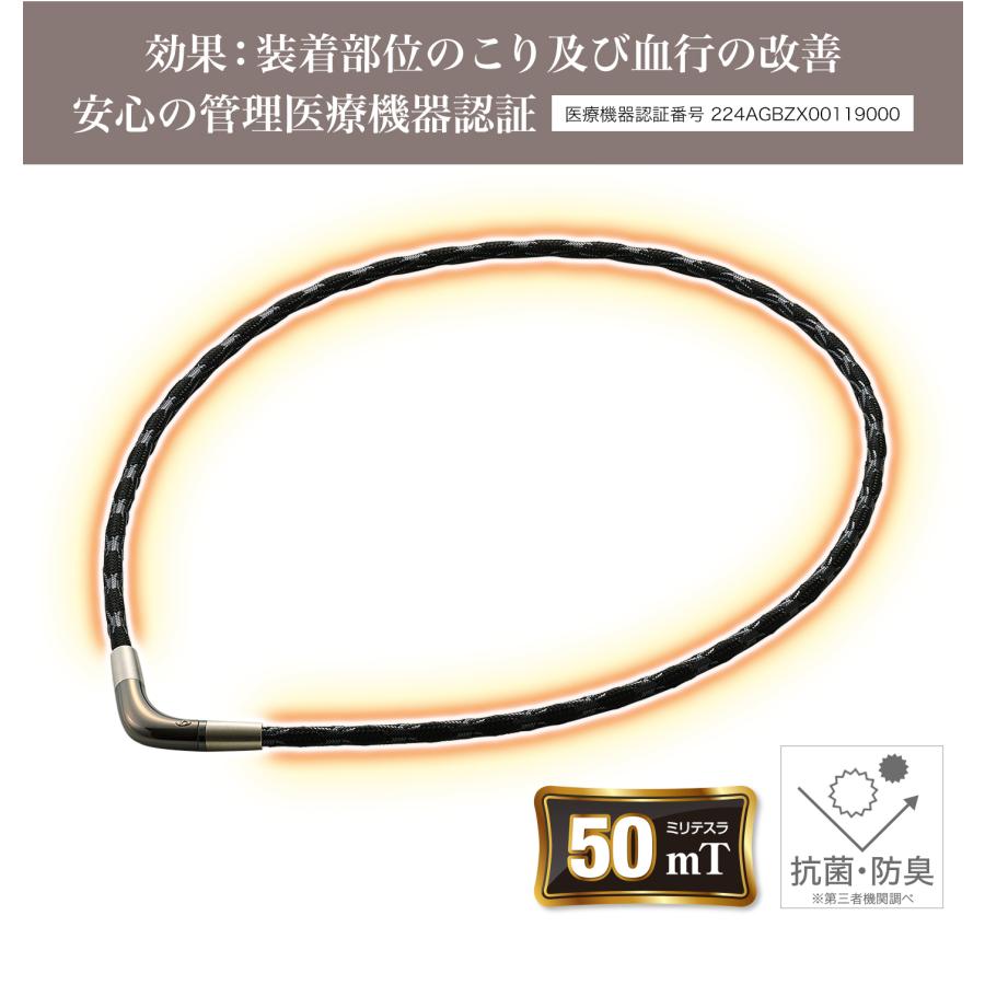 Phiten（ファイテン） RAKUWA磁気ネックレス グリッター Vタイプ(管理
