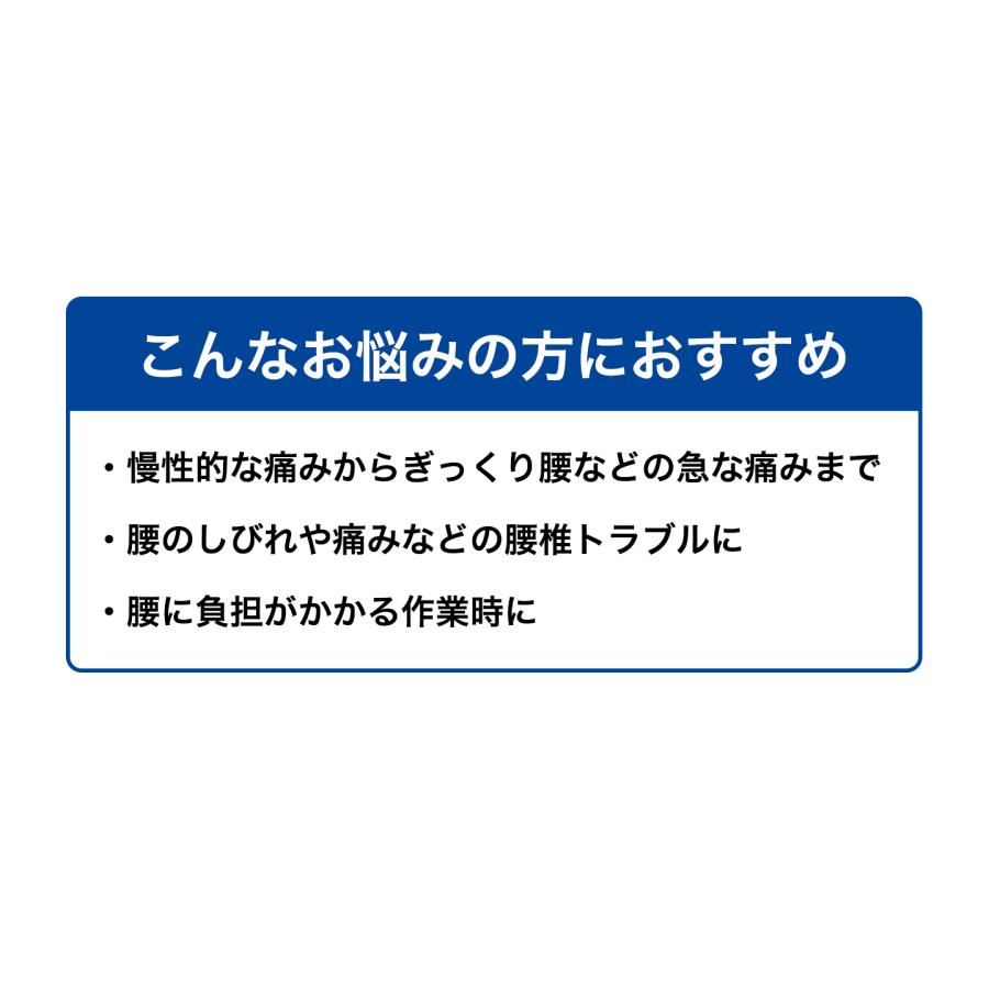 ファイテンサポーター ナノメタックス フィットタイプ  腰用 | Phiten | 02