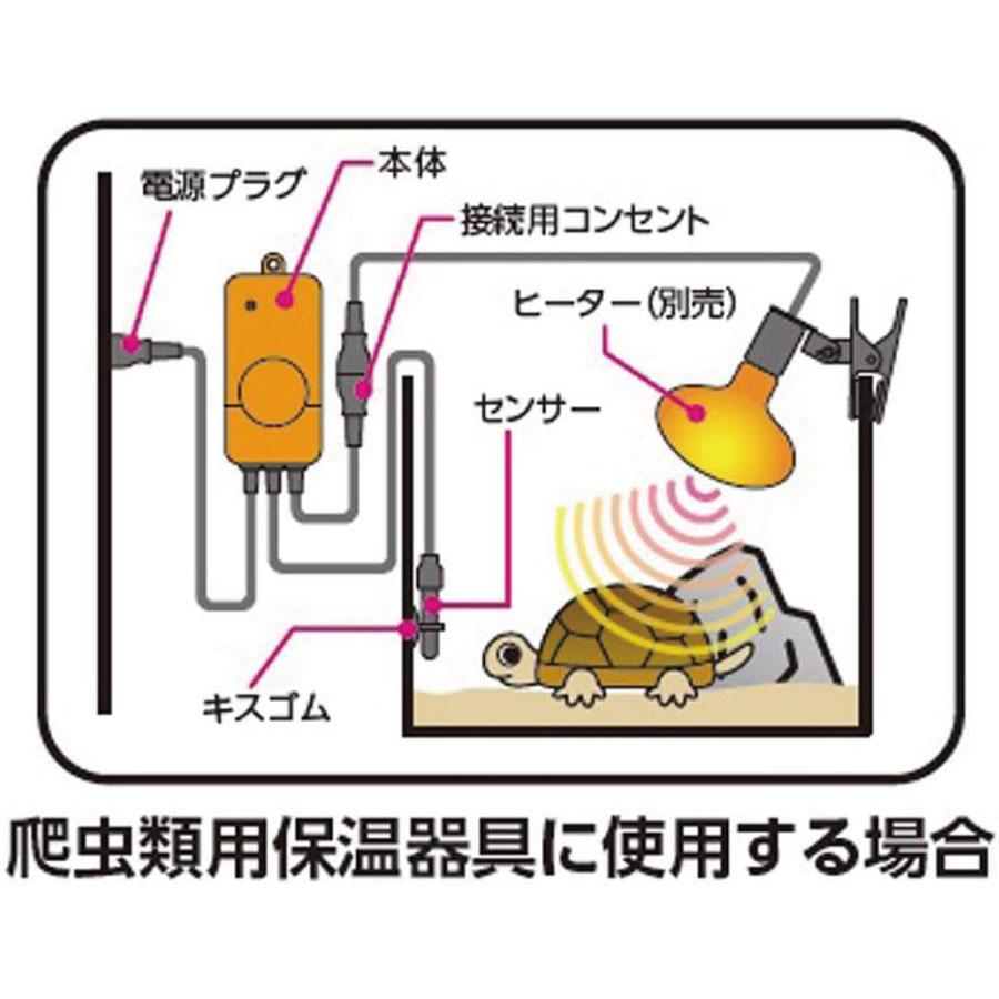 ミニマルランド お買い得セット マルカン 外付け保温ボード 20W RH-216