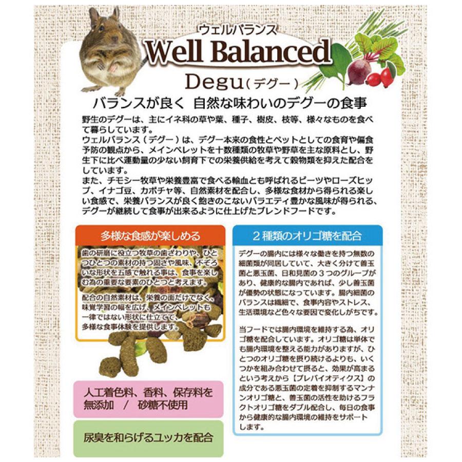 三晃商会 まとめ買い ウェルバランス デグーフード 400g ×2 : PHeeK