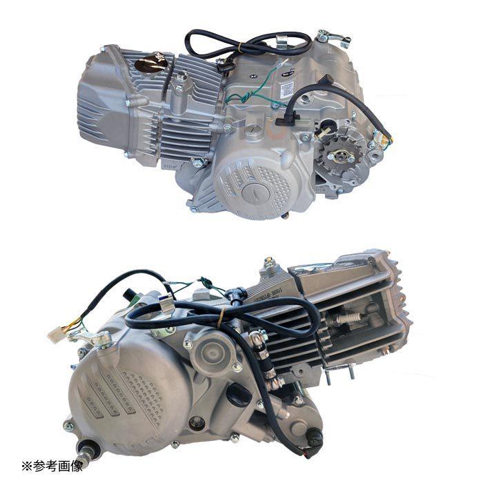 数量限定 エンジン 本体 212cc ZONGSHEN ZS1P66YML セル キック MT 全波 交流 バイク カスタム ボアアップ 【RI1736410839】(62440円)