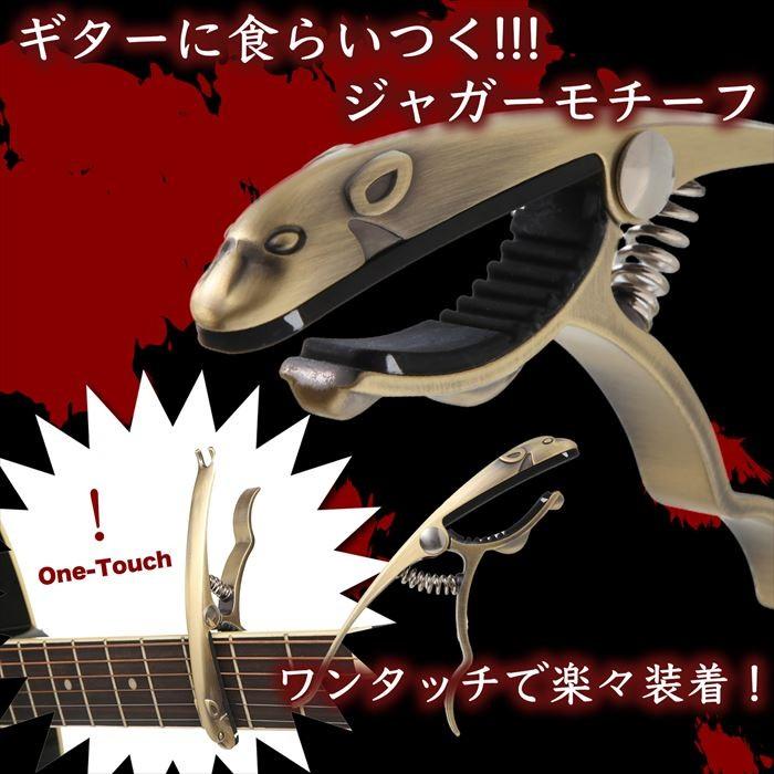 アコースティックギター ギターケース チューナー カポタスト ピック付き アコギ アコースティックギター ギターケース チューナー カポタスト