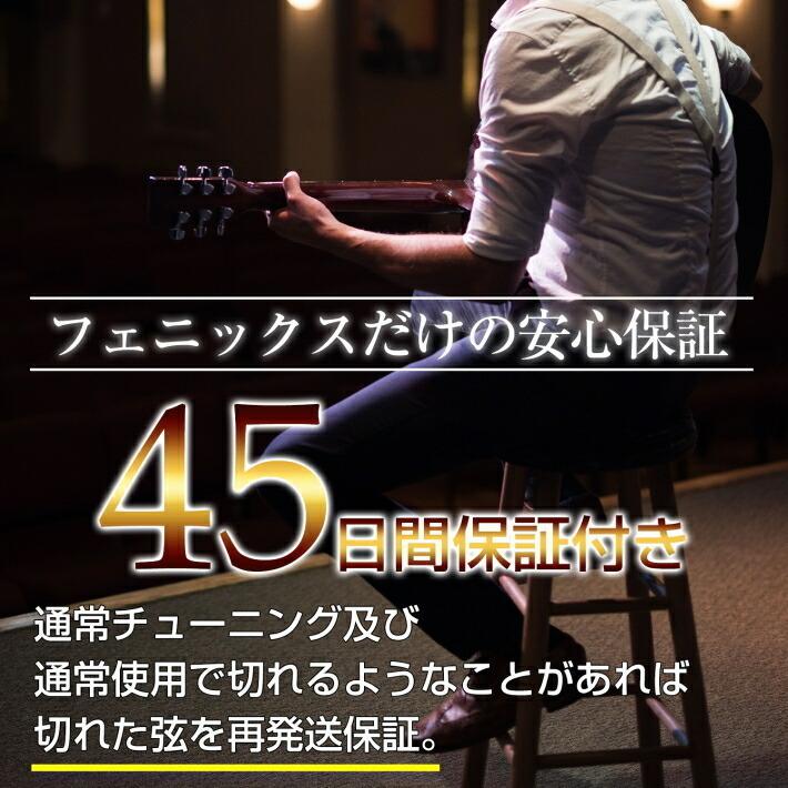 Phoenix お試し アコースティック ギター 弦 フォスファーブロンズ 