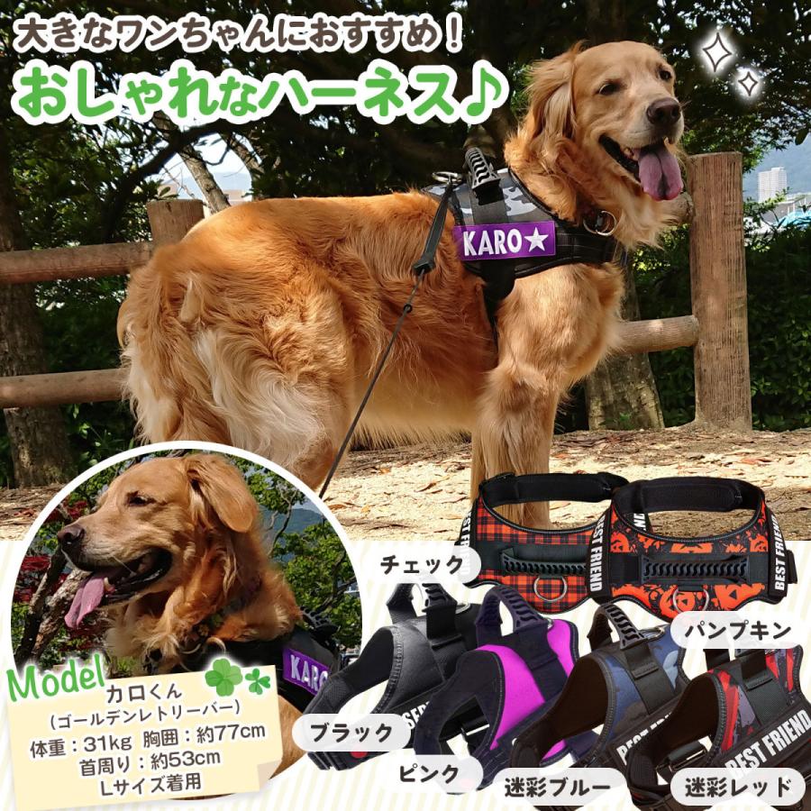 ハーネス 犬 大型犬 中型犬 オプションで 名前入り 出来る ネーム