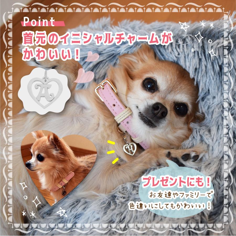 犬 首輪 革 おしゃれ 柔らかい イニシャル チャーム 付 かわいい