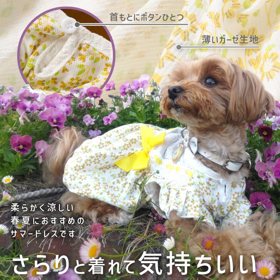 犬 服 春夏 ワンピース 犬服 おしゃれ 夏用 猫 犬の服 夏 夏服 サマー
