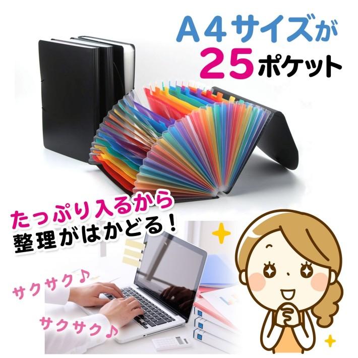 書類 フォルダ ファイル 収納 書類整理 書類整理ケース/A4 ファイル