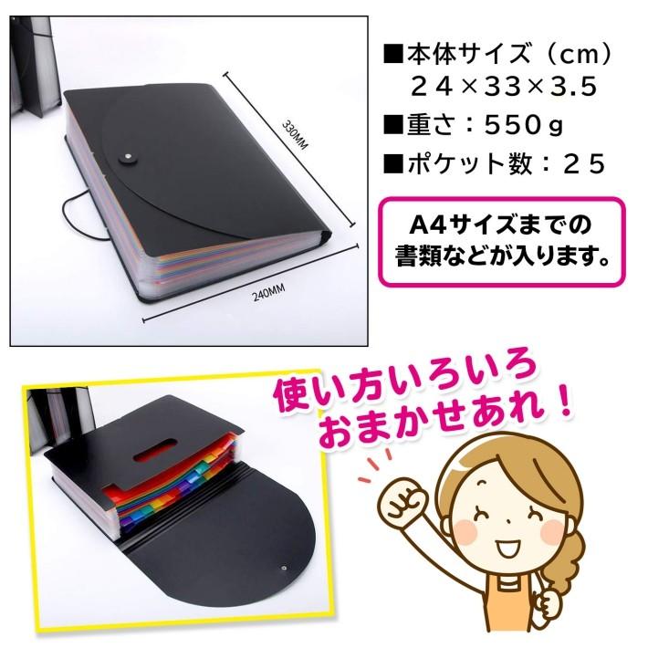 書類 フォルダ ファイル 収納 書類整理 書類整理ケース/A4 ファイル