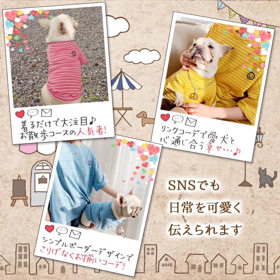 犬服 ペット ボーダー Tシャツ リンクコーデ /ペットペア半袖ボーダー