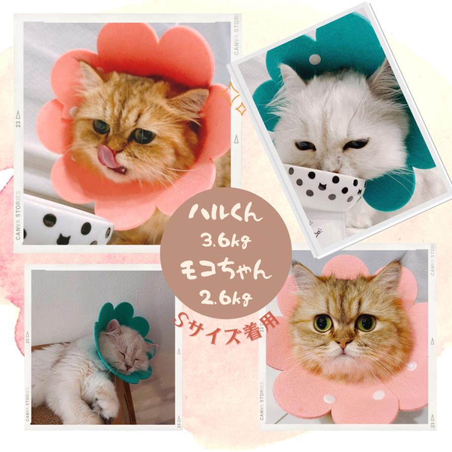 エリザベスカラー 猫 小型 犬 ソフト フェルト フラワー 軽量 (2枚