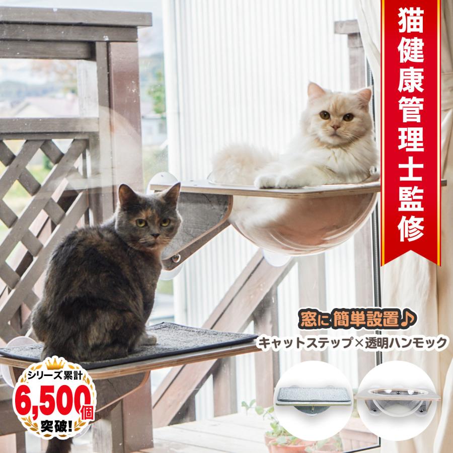 猫 ベッド ハンモック 窓 吸盤 ハンモッく 猫ベッド ねこ ネコ  スケルトン 透明 キャットステップ セット 吸盤型 /ステップ付き吸盤スケルトンハンモック｜phoenix-zakka