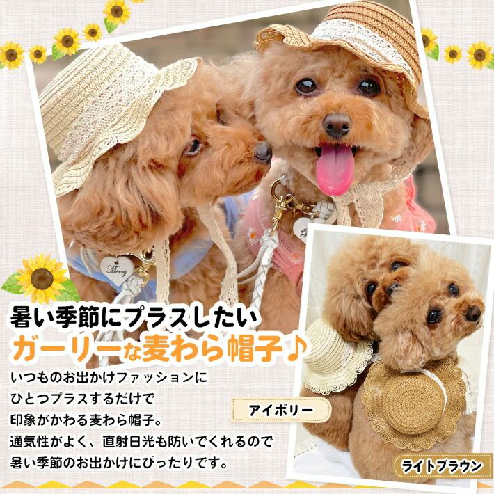 犬 帽子 夏 キャップ 小型犬 麦わら帽子 ハット お散歩グッズ 犬 帽子 夏 キャップ 小型犬 麦わら帽子 ハット お散歩グッズ