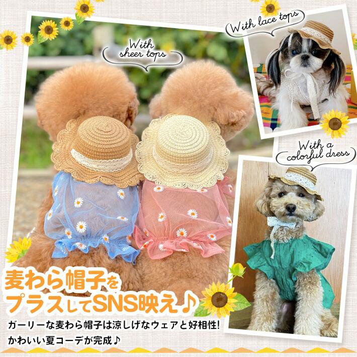 犬 帽子 夏 キャップ 小型犬 麦わら帽子 ハット お散歩グッズ 犬 帽子 夏 キャップ 小型犬 麦わら帽子 ハット お散歩グッズ