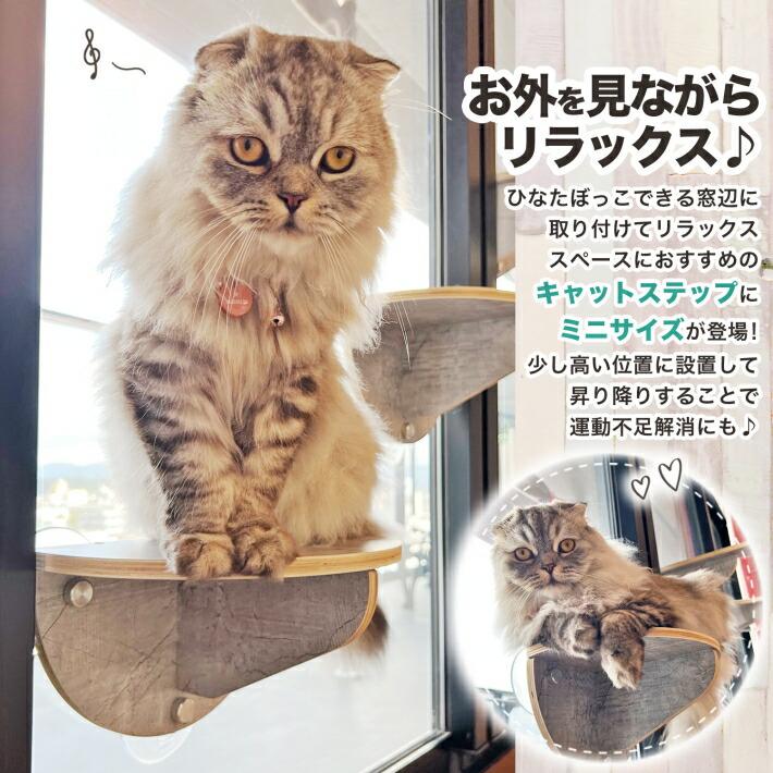 猫ちゃん窓取付踏み台　吸盤タイプ 1.jpg