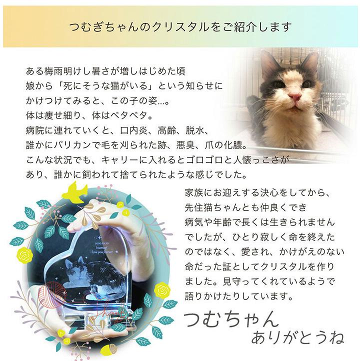 ペット メモリアルグッズ メモリアルプレート 供養 セット クリスタル位牌 おしゃれ クリスタル 3D 祭壇/メモリアル3Dハートクリスタル_6