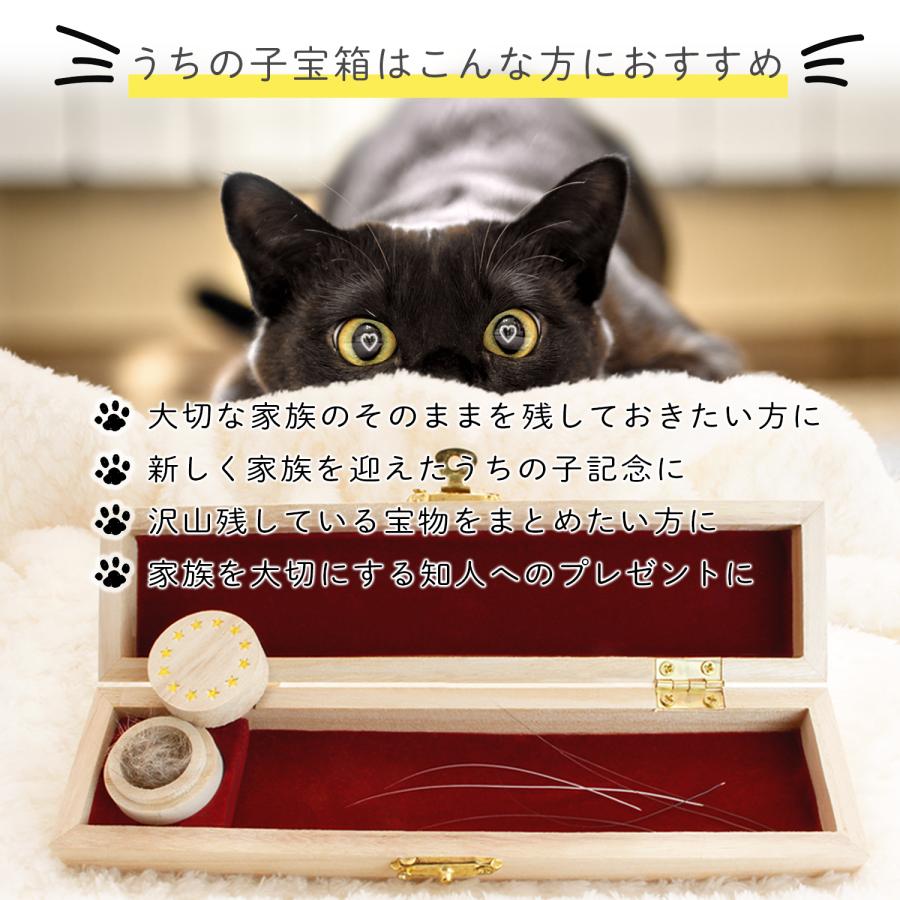 POOKIE ひげ ペット メモリアルグッズ おしゃれ 肉球 ヒゲ入れ 毛 歯