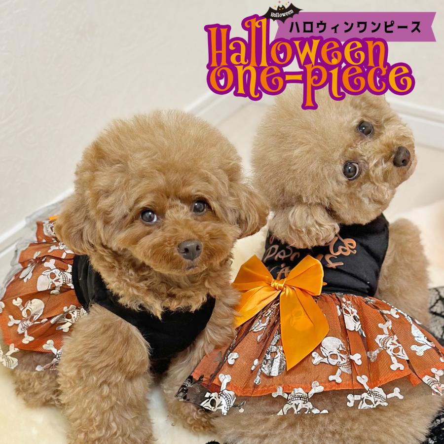 犬 ハロウィン ワンピース 犬服 猫服 ペット 仮装 着ぐるみ 小型犬