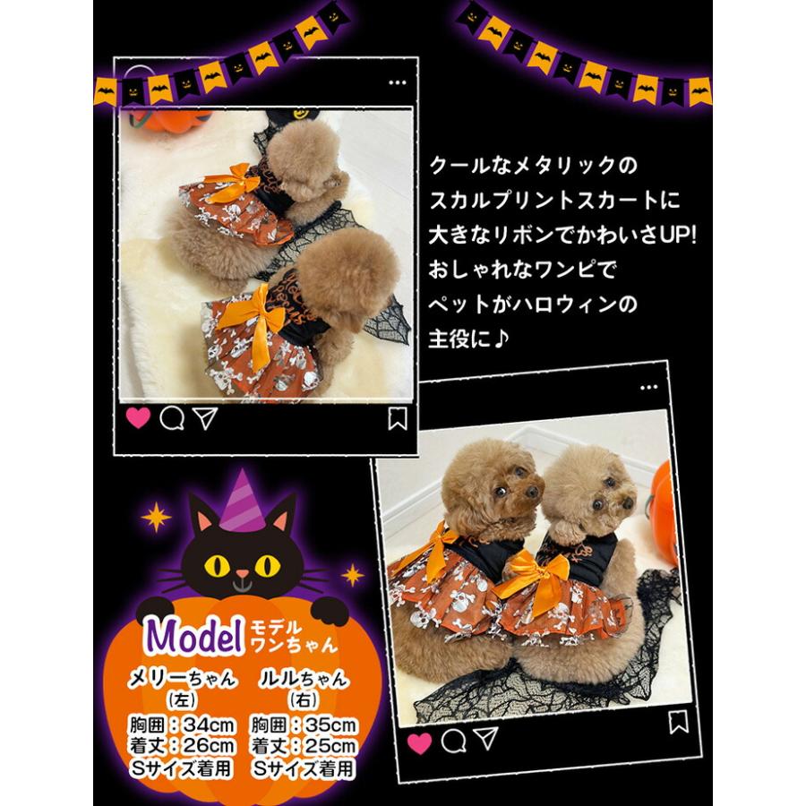 犬 ハロウィン ワンピース 犬服 猫服 ペット 仮装 着ぐるみ 小型犬