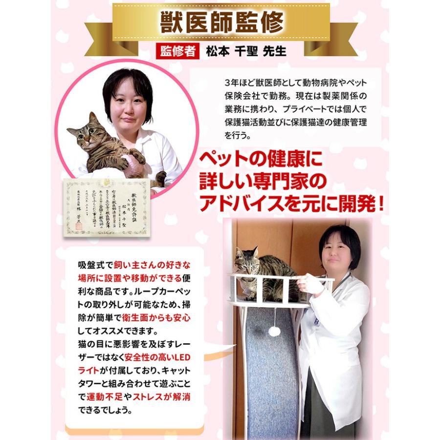 キャットタワー スリム おしゃれ 窓 吸盤 木製 爪とぎ 猫 ベッド 大型