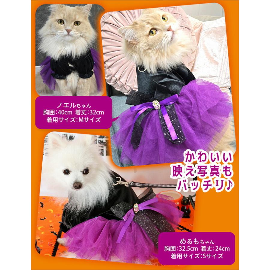 犬 ハロウィン 猫 服 ワンピース 犬服 猫服 ペット 仮装 着ぐるみ 小型