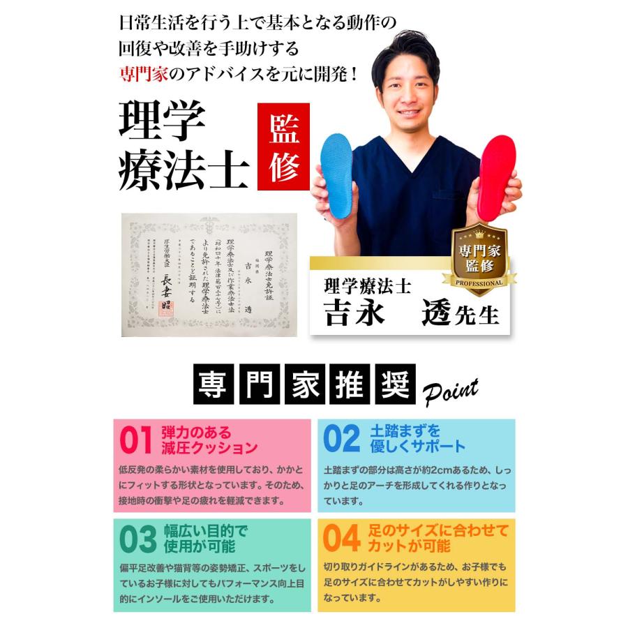 PhoenixSole 理学療法士監修 子供用 インソール キッズ 偏平足予防 足