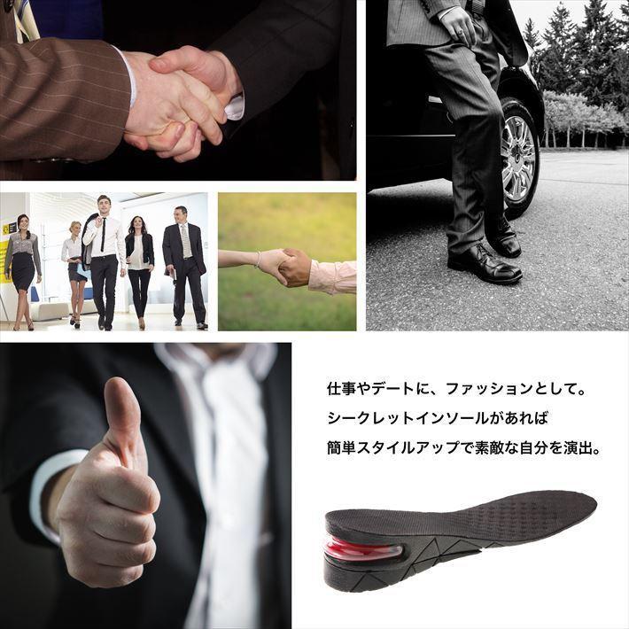 PhoenixSole 理学療法士監修 インソール シークレット インソール 国内