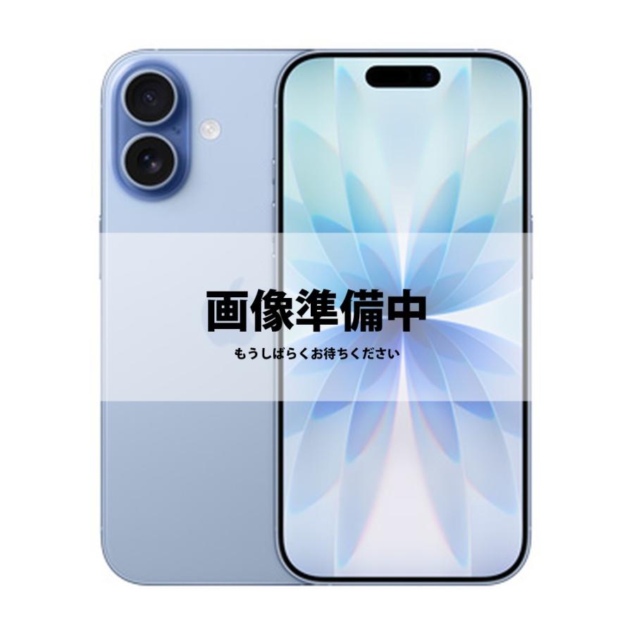 iPhone 17 256GB SIMフリー Bランク 中古 本体 スマホ スマートフォン