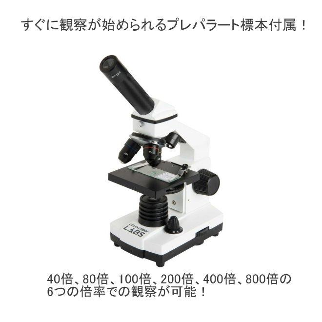 全国送料無料 Vixen ビクセン CELESTRON セレストロン 顕微鏡 CM800 