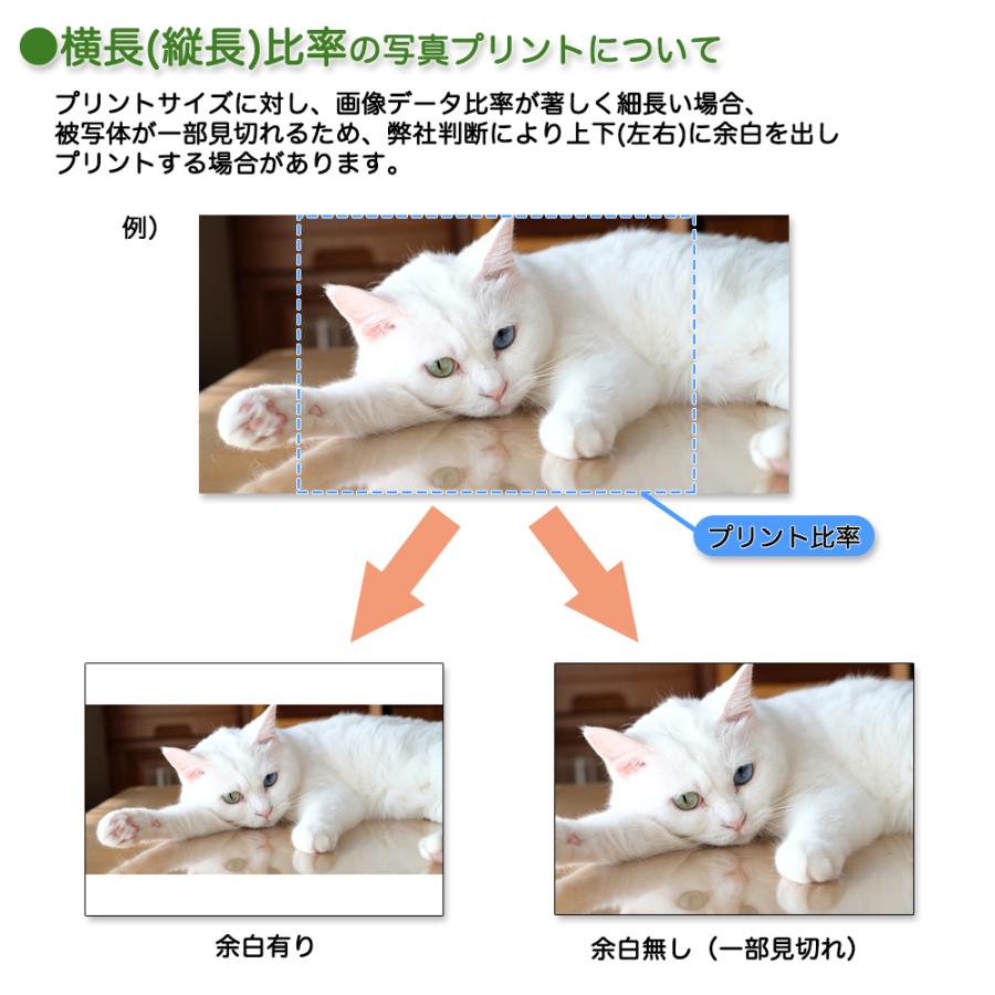フジカラー販促品　写真店用フジカラー・大型サンプル写真ボード　中古・送料込み価格 2000円以上送料無料】4PWサイズ フジカラープリント スマホ デジカメ